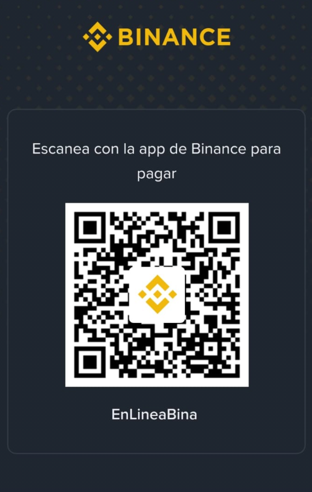 QR Binance Pay — User- 393742947